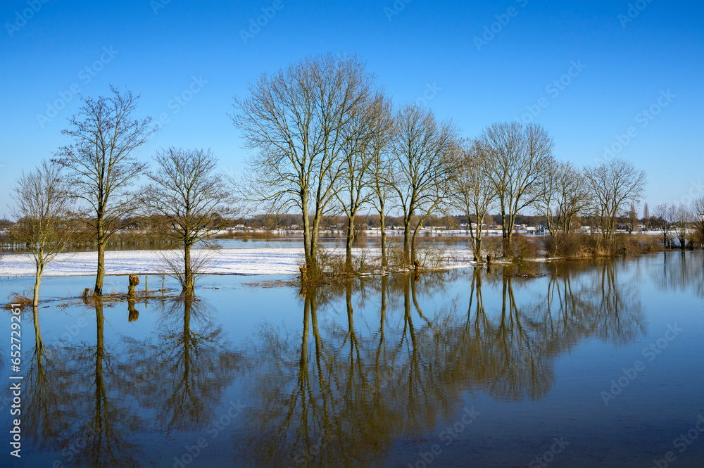 Treeline with reflection in the flooded flood plain of the River IJssel, during winter, Netherlands. Treeline with reflection in the flooded flood plain of the River IJssel, during winter, Netherlands.