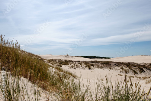dunes in the dunes