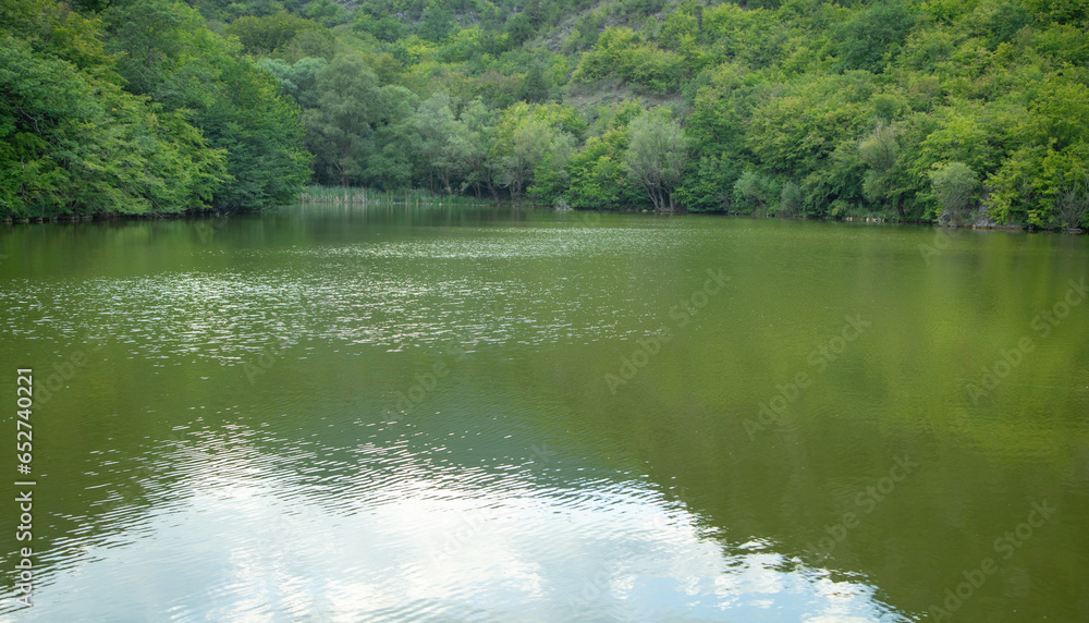 Beautiful view. Green lake with a forest Beautiful view. Green lake with a forest