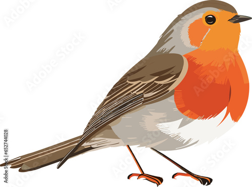 Vector illustration of a realistic robin bird seen from the side on white background
