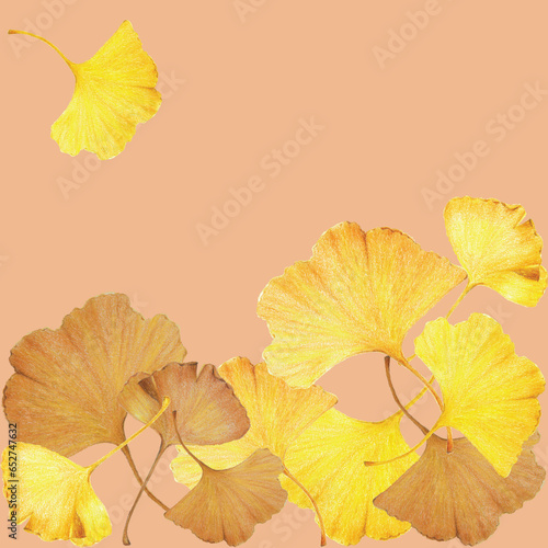 Colored pencil style illustration with ginkgo leaves of various colors, Autumn concept. Golden and yellow leaves of ginkgo biloba tree against background color.