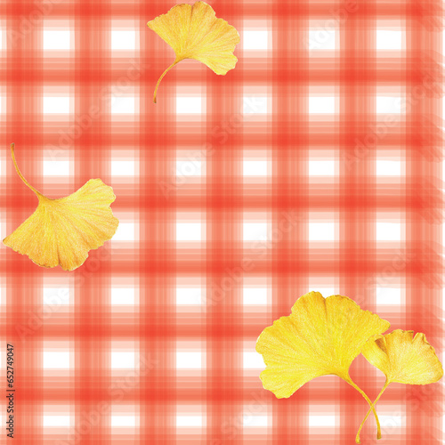 Ginkgo leaves isolated on check pattern background. Autumn background with yellow ginkgo leaves. Ginkgo biloba leaves vector hand drawn colored pencil   illustration. Autumn picnic concept