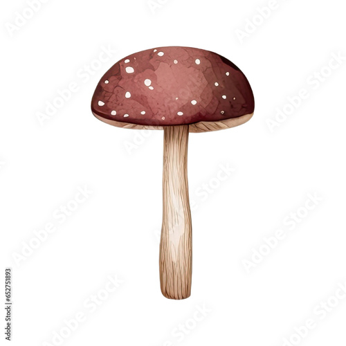 Mushroom watercolor of hand drawn, Mushroom Burgundy color, Mushroom elegant watercolor illustration, Mushroom isolated transparent background, PNG