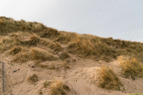 Closeup of dune covered  a beach during sunny weather in Scotland