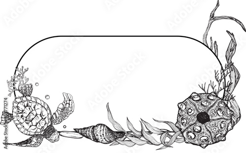 Marine composition frame banner of a sea turtle among algae bubbles, sea urchin. Black and white hand-drawn graphics translated into vector illustration 