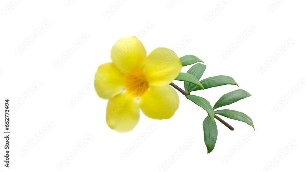 Naklejka premium yellow flower isolated on white