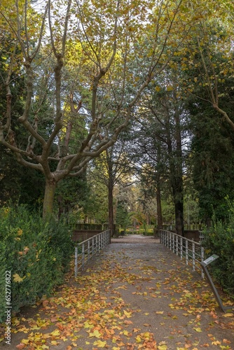 Park with a path that crosses a bridge full of yellow leaves fallen from the trees.Huesca.