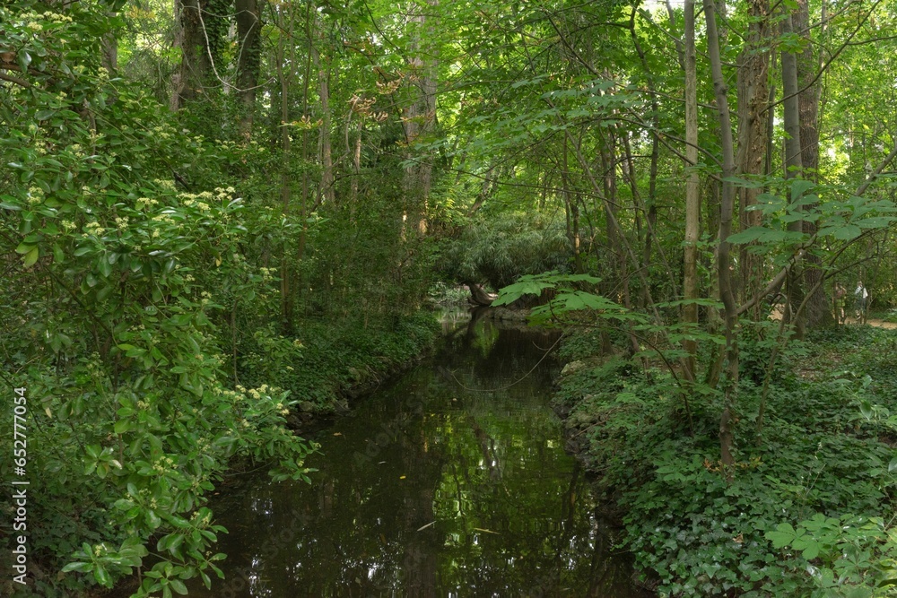 Obraz premium Beautiful landscape of a river in a lush green forest in Valladolid, Spain