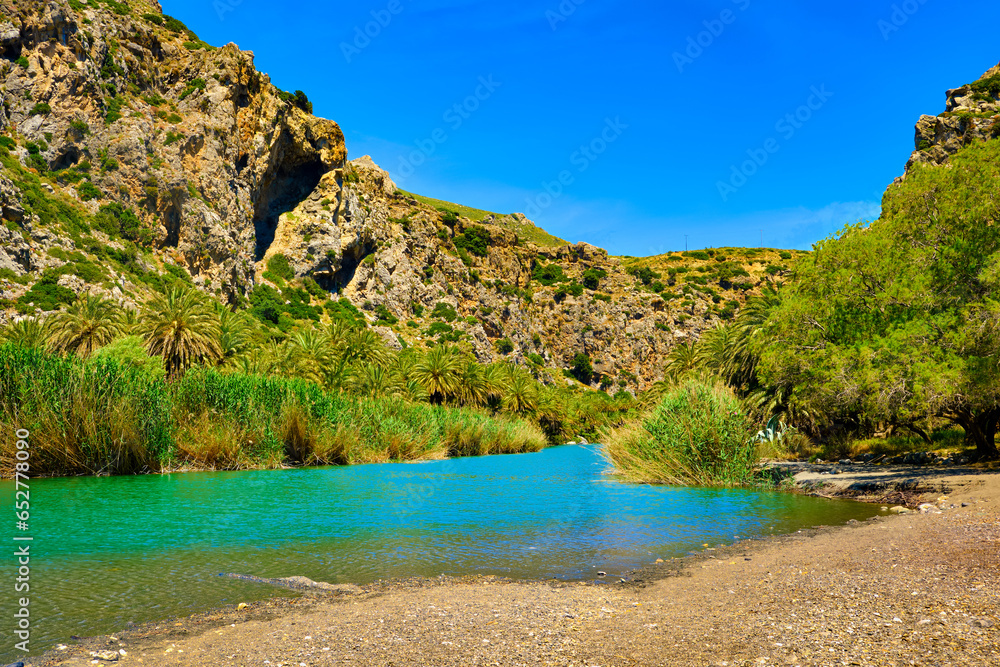 Sunny day at river stream and palm tree forest, Preveli, Crete, Greece