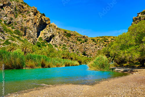 Obraz na płótnie Sunny day at river stream and palm tree forest, Preveli, Crete, Greece w salonie