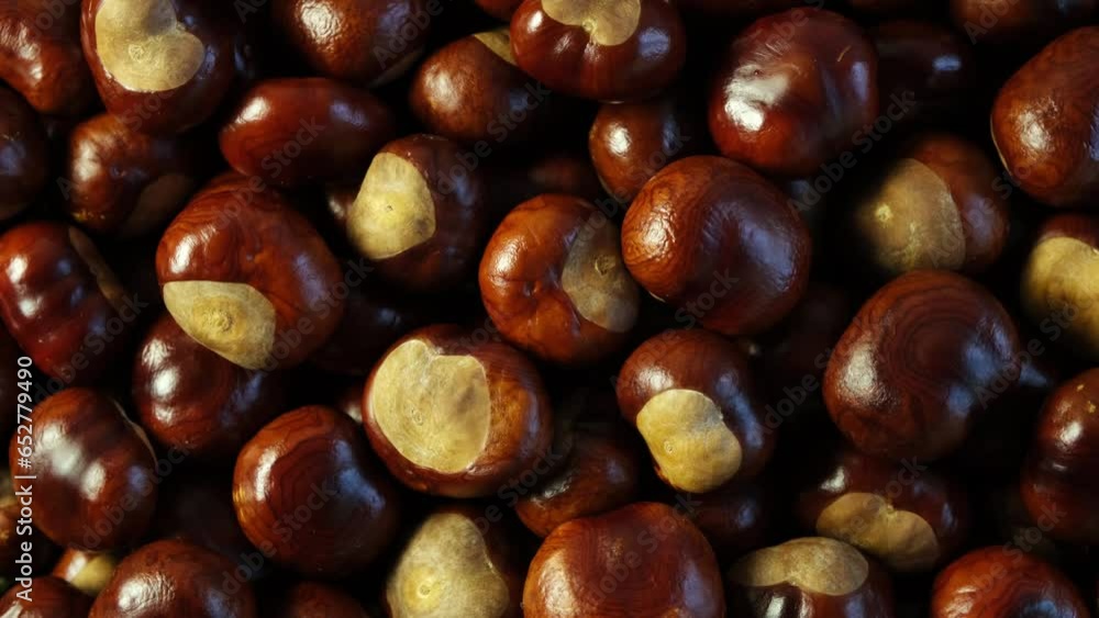 Ripe chestnuts fruits, close-up. Chestnut nuts are used in cooking. 4K video, Rotating. Ripe chestnuts fruits, close-up. Chestnut nuts are used in cooking. 4K video, Rotating.