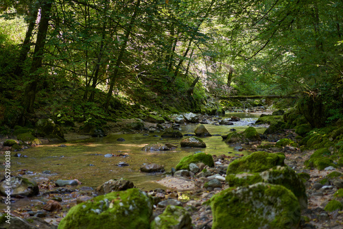 Mountain river in a canyon