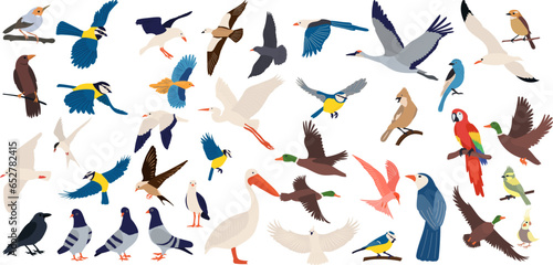 big set of birds in flat style on white background, vector