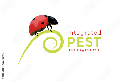 illustration of ladybugs (Coccinella magnifica) crawling on winding branches forming the letter P, the symbol for integrated pest management