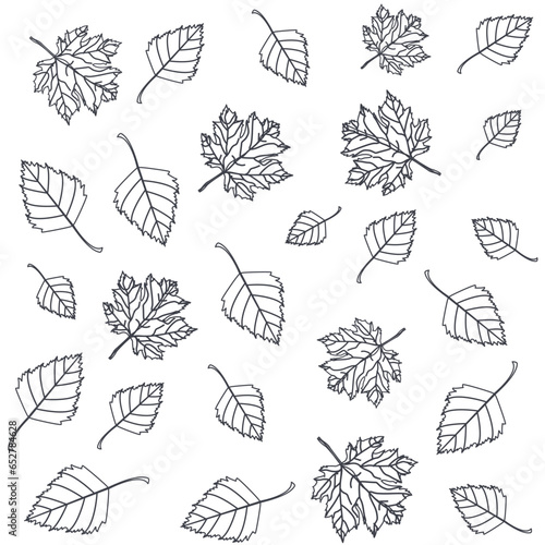 Wallpaper Mural sketch autumn seamless pattern of autumn maple and birch leaves on a white background Torontodigital.ca