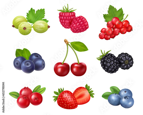 Fresh summer berries. Gooseberry and raspberry  red currant and blueberry  cherry and dewberry  cranberry and raspberry sweet dessert food. Smoothie and juice ingredients  wild cartoon berries vector