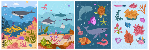 Photography Underwater marine life, animals and fish, shark and turtles swimming in ocean or sea