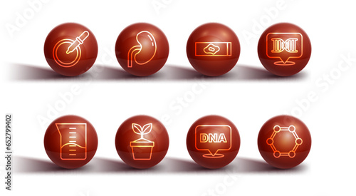 Set line Petri dish with pipette, Laboratory glassware or beaker, DNA symbol, Plant in pot, Human kidney, Molecule and Blood test and virus icon. Vector