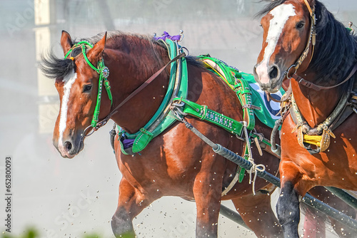 十勝ばんえい競馬
