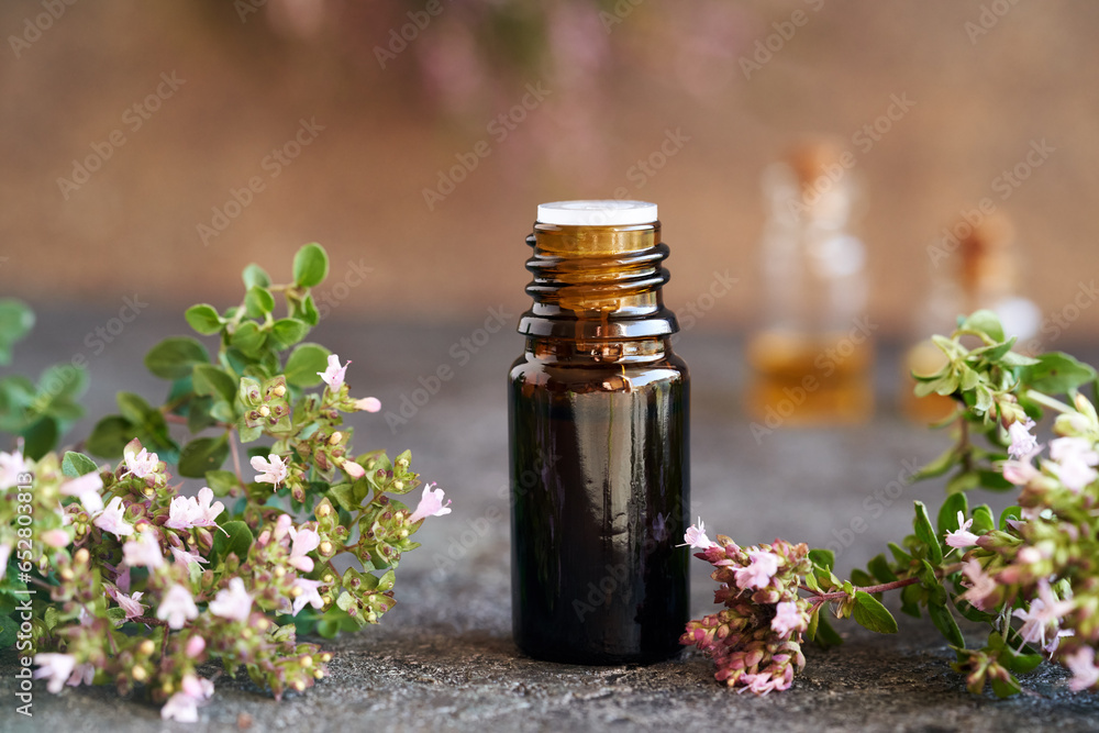 Essential oil bottle with blooming oregano plant Essential oil bottle with blooming oregano plant