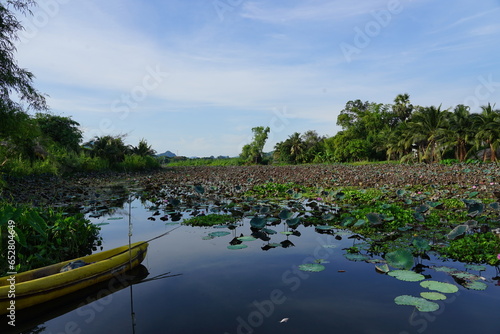lake in the forest