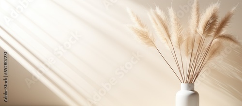 Minimalist Parisian floral arrangement with dried pampas grass reeds and soft sunlight shadows on a neutral wall