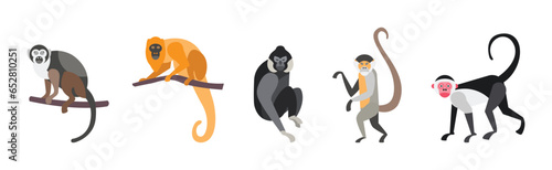 Different Monkey and Ape Animal Zoo Species Vector Set photo