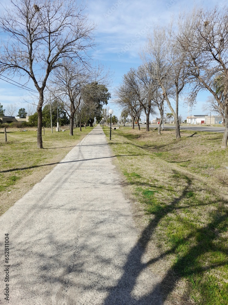 Senda peatonal en el parque de la ciudad para caminar y hacer deportes al aire libre en Sudamérica,   presenta un camino de asfalto con el césped seco y árboles sin hojas de otoño con el cielo azul.