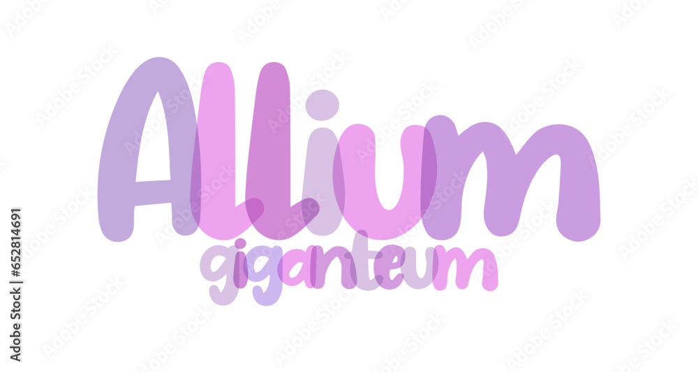 Allium giganteum, giant onion, decorative onion flower, elegant, lilac, purple tones typography background, label, sticker, text design, sign, white background, tag, transparent lettering typography Allium giganteum, giant onion, decorative onion flower, elegant, lilac, purple tones typography background, label, sticker, text design, sign, white background, tag, transparent lettering typography