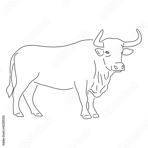Bull in doodle style. Icons sketch hand made. Vector editable stroke.