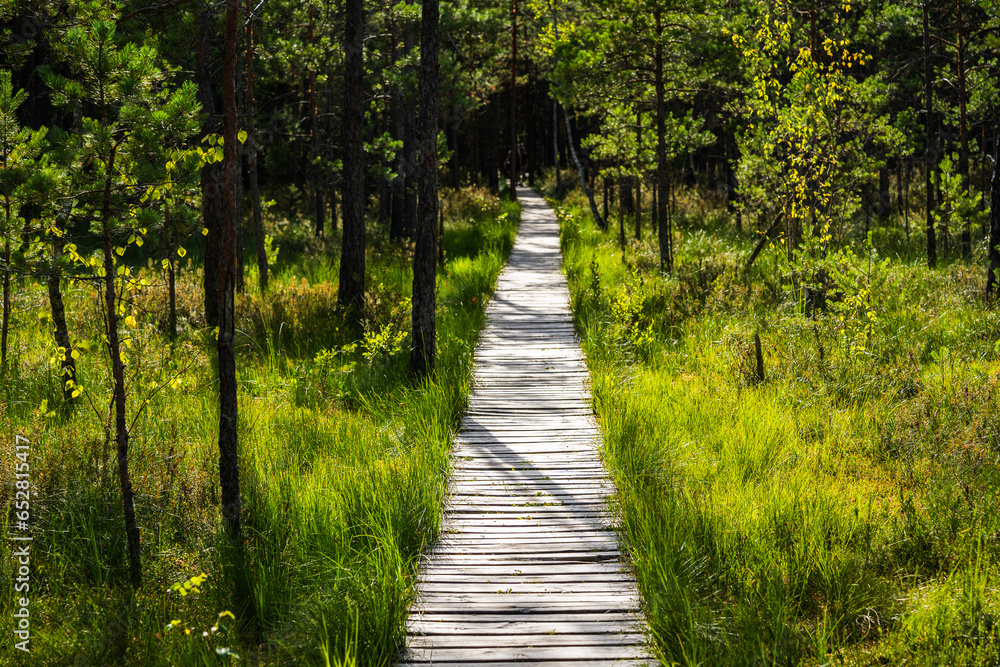 Obraz premium Varnikai Cognitive Walking Way at Trakai Historical National Park, a wooden walking path through the forest and swamps in summer