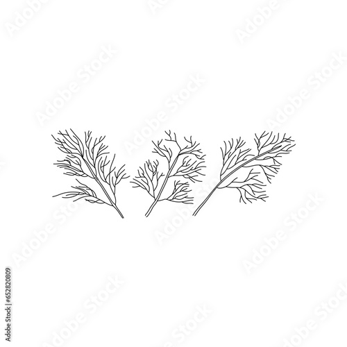 The illustration set of doodle of herbs dill, in black ink isolated on white background