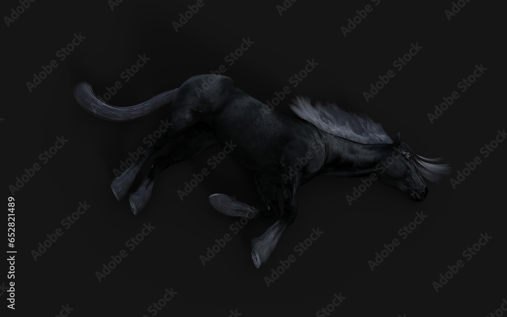 Fototapeta premium 3d Illustration of Black horse with black mane on black background with clipping path.