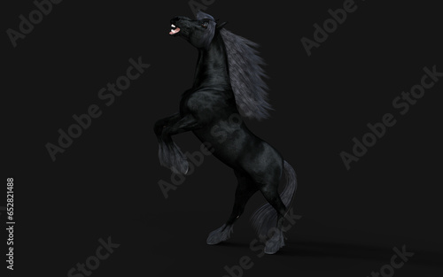 3d Illustration of Black horse with black mane on black background with clipping path. © mrjo_7