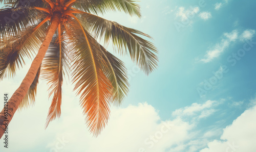 Tropical landscape featuring a prominent palm tree under a vast blue expanse.