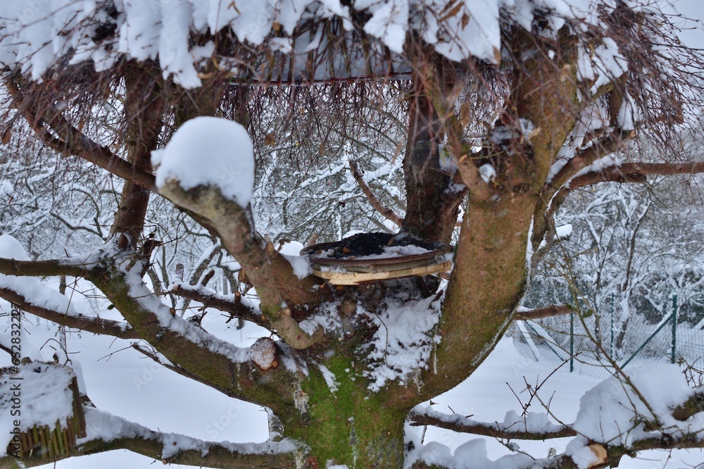 Detail of feeder for wildlife birds in snowy winter