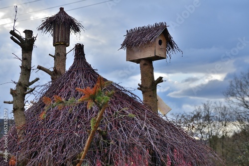 Obraz na płótnie Feeder with sunflower for wild birds in summer near the house in village w salonie