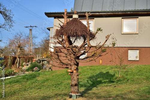 Obraz na płótnie Large bird feeder with a roof made of branches and nesting box w salonie