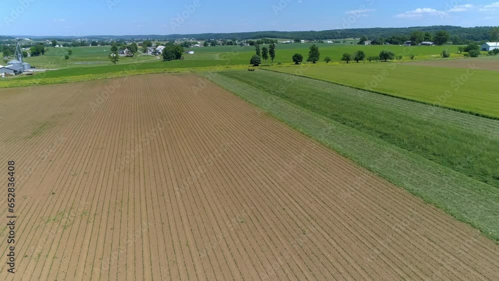 Drone View of an Amish Farmer Harvesting His Crop With Four Horses, Pulling a Cutter Drone View of an Amish Farmer Harvesting His Crop With Four Horses, Pulling a Cutter