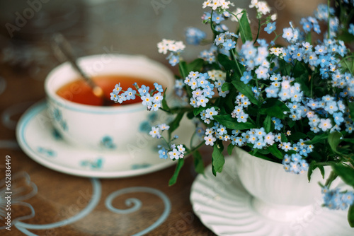 flowers, forget-me-nots, white forget-me-nots, flowers of blue-white forget-me-nots, close-up, boraginaceae, myosotis,