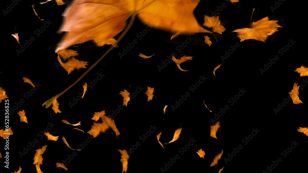 Autumn Leaves Transitions Stock Template Adobe Stock