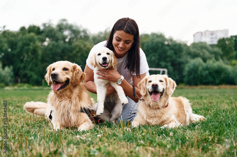 Woman with beautiful dogs are in the field outdoors