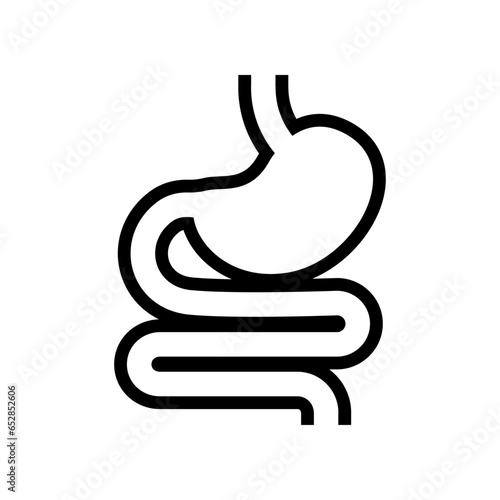 Digestive system, Human stomach and gastrointestinal system Infographic. Vital organ. Stomach, gastric and Colon tract as internal organ. Vector illustration design.