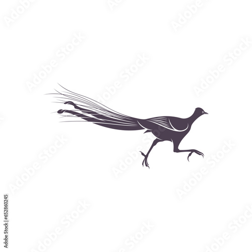 Lyrebird vector illustration design. Lyrebird Silhouette. Lyrebird design template.