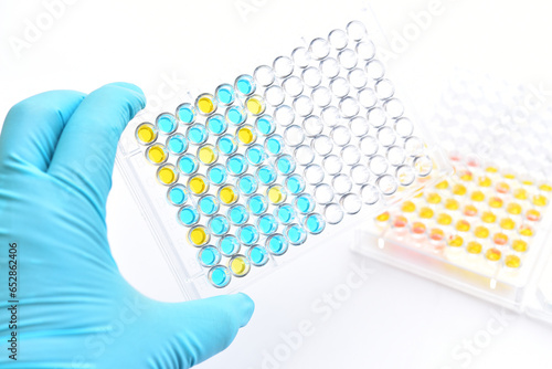 Enzyme-linked immunosorbent assay or ELISA plate, Immunology testing method in medical laboratory