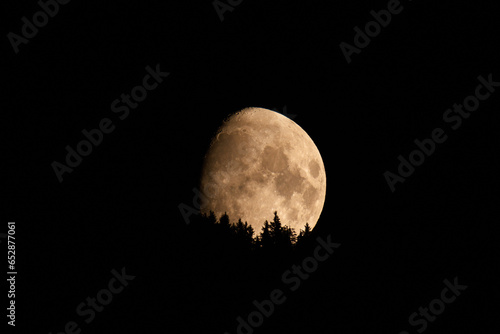 Beautiful moonrise over the mountains with tree silhouettes in the foreground