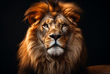 a lion with a fierce face on an isolated background