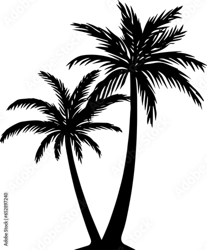 Black Tropical palm or coconut trees isolated on white background 