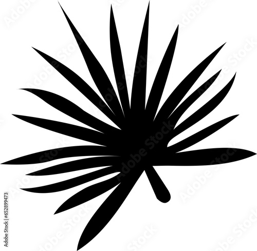  Silhouettes of tropical palm leaves isolated on white