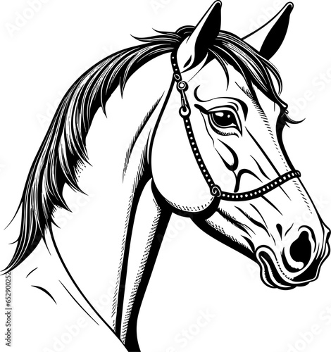 A vector illustration of a retro horse head, isolated on a white background. EPS-10